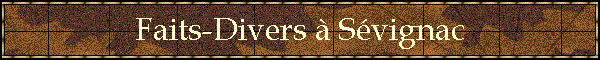 Faits-Divers  Svignac