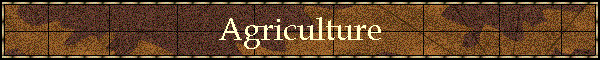 Agriculture