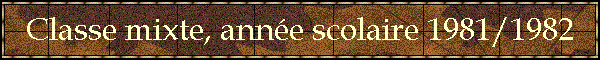 Classe mixte, anne scolaire 1981/1982