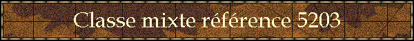Classe mixte rfrence 5203