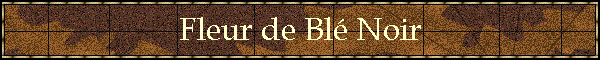 Fleur de Bl Noir