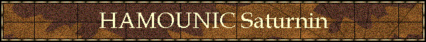 HAMOUNIC Saturnin