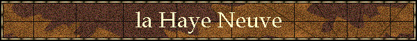 la Haye Neuve