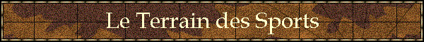 Le Terrain des Sports