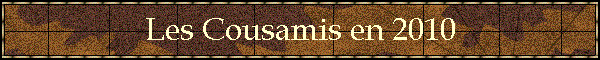 Les Cousamis en 2010