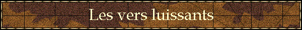 Les vers luissants