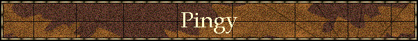 Pingy