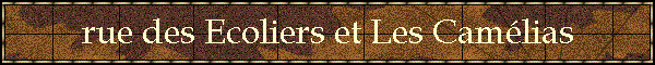rue des Ecoliers et Les Camlias