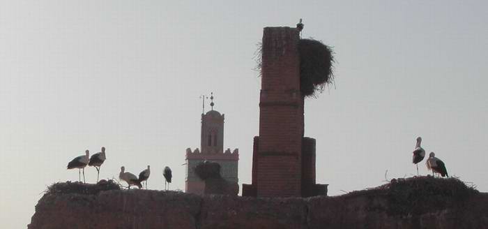 si vous voulez voir l'image dans un format plus grand.. une bonne idée de fond d'écran...